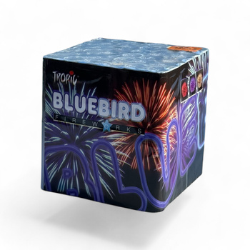 BLUEBIRD 36 STRZAŁÓW TB14